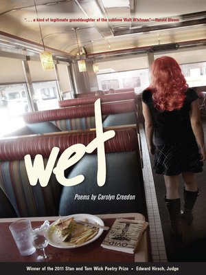 cover image of Wet
